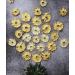 Dried Pineapple Rings - Premium Dehydrated Cocktail Garnishes - 15 Servings (60g Approx) - Buy Online on SooperMarket.com