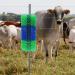 Generic Scratch Brush for Farm Animals - Cattle Cow & Horse Massage Cleaning Brushes | International Shipping - Buy Online on SooperMarket.com