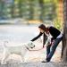 Buy Tag Trag Dog Leash - 5m Waterproof Training Line for Small & Medium Dogs | Easy to Clean Durable with Handle & D-Ring International Shipping Available - Buy Online on SooperMarket.com