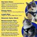 Reflective Travel Cat Harness and Leash Set - Lightweight & Breathable - Snug Fit for True Adventurers - Strong Snap Clip - Large Grey - Buy Online on SooperMarket.com