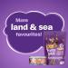 Friskies Surfin' & Turfin' Dry Cat Food - 7.26 kg Bag - Buy Online on SooperMarket.com