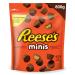 REESE'S Mini Peanut Butter Candy Holiday Candy Reese's Candy Mini Candy Bulk Candy to Share Good for Kids Candy 800g 800 g (Pack of 1)