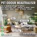 Dirtbusters Pet Odour Eliminator Spray - Enzymatic Deodoriser Wild Fig & Cassis 500ml - Buy Online on SooperMarket.com