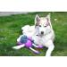 Rosewood Ruby Rabbit Dog Toy multi-colour 1 Count (Pack of 1) - Buy Online on SooperMarket.com