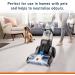 Regalo Easy Step Walk Thru Gate White Fits Spaces between 29" to 37.5" wide and 30" height. & Vax Original 1.5L Carpet Cleaner Solution | Suitable for Everyday Cleaning - Buy Online on SooperMarket.com