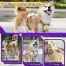 Multi-Purpose Dog Harness & Leash Set | Anti-Train Safety for Small & Medium Dogs (Yellow Size S) - Buy Online on SooperMarket.com