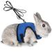 Adjustable soft rabbit dishes with elastic leash for small animal kitty pet dishes and leash for bunnies cat Little Pet Walking (Blue XS (breast 20-27.5cm)) XS (breast 20-27.5cm) Blue