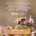 APIVITA Queen Bee Absolute Anti-Aging Cream - Light Texture 50 ml | Regenerate & Renew Skin | International Shipping Available - Buy Online on SooperMarket.com