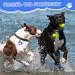 5-Piece Silicone Dog LED Light Keychain | Waterproof Security Pet Lights for Dogs & Cats 3 Flashing Modes - Buy Online on SooperMarket.com