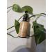 Orange Blossom Essential Oil Aromatherapy - Buy Online on SooperMarket.com