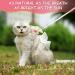 Escape Proof Pink Cat Harness and Leash Set for Small and Large Cats - Junsirs (Pink S 7.09-8.66 (18-22cm)) - Buy Online on SooperMarket.com