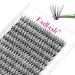 Cluster Lashes Extensions 30D 0.07 C Curl | 200Pcs Mixed Trays | DIY Eyelash Extensions - Buy Online on SooperMarket.com