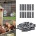 M Nails Durable Cage Staple Not Reusable Economical And Practical for Foxes Cages Home - Buy Online on SooperMarket.com