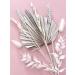 Dried Flowers for cakes decoration silver white cream neutral grey palm spear leaves pampus bunny tails ruscus oats phalaris cupcake home room decor SILVER SPEAR