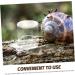 GRIRIW Pet Water Feeder Ant Water Feeders Ant Waterer Cup Water Feeding Cup for Ant Nest Clear Ants Feeder Ant Keeper Tools Ant Feeding Cup Ant Watering Cup Ant Keeping Ant Bottle Feeder - Buy Online on SooperMarket.com