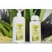 Aloe Vera Gold Propolis Cream Value Pack - 500 ml | Hydrating Skin Care for All Skin Types | International Shipping Available - Buy Online on SooperMarket.com