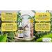 Advanced Clinicals Retinol, Hyaluronic Acid & Vitamin C Serum Set | Anti-Aging Skincare for Women | Brightening, Firming & Hydrating Formula | 1.75 Fl Oz 3pc Set - Buy Online on SooperMarket.com