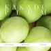 KORA Organics Kakadu Plum Vitamin C Serum | Antioxidant Facial Serum with Hyaluronic Acid | Certified Organic & Cruelty-Free | Improve Skin Tone | 1.01 fl oz - Buy Online on SooperMarket.com