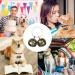 DARENYI 4 Pcs Dog Cat Collar Bells Pet Tracker Brass Bell Dog Tracker Metal Bells Small Bells for Pet Collars Anti-Lost Training Bells - Buy Online on SooperMarket.com