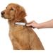 HUNTER SPA Grooming Comb with Rotating Teeth - Perfect for Top & Undercoat Care | 19.0 x 4.0 cm | M | Grey/Brown - International Shipping Available - Buy Online on SooperMarket.com