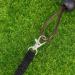 Adjustable Lizard Traction Rope Climbing Pet Belt - 3 Pieces Cool Leather Wings Leash for Training | International Shipping - Buy Online on SooperMarket.com
