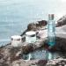 L'OCCITANE Aqua R otier Ultra Thirst-Quenching Gel 50ml | Vegan & 98% Readily Biodegradable | Enriched with Macro Hyaluronic Acid | Clean & Luxury Beauty Skincare for All Skin Types - Buy Online on SooperMarket.com