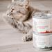 Mjamjam Premium Wet Cat Food - Delicious Reindeer & Chicken with Carrot - Grain Free - 6 Pack (6 x 200g) - Buy Online on SooperMarket.com