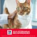 Hill's Science Diet Adult Chicken Recipe Dry Cat Food 7 lb - Pack of 1 - Buy Online on SooperMarket.com