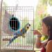 MEWTOGO Winter Warm Bird Nest with Fixable Opening - Plush Snuggle Parrot House for Various Bird Species - Buy Online on SooperMarket.com
