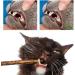 Aidiyapet Cat Catnip Sticks Cat Chew Sticks Cat Catnip toys Matatabi Silvervine Chew Sticks Cat Dental Chews for Cat Teeth Cleaning Cat Toys for Indoor Cats 30 Count (Pack of 1) - Buy Online on SooperMarket.com