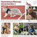 Supet Cat Dishes - Soft Cat Vest with Leash for Kittens & Small Dogs (Chihuahua) - L Size (Chest 38-43 cm) - Durable & Stylish in Red - Buy Online on SooperMarket.com