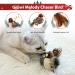 GiGwi Interactive Cat Feather Toy with Melody Chaser and Squeaky Bird - Plush Toys for Indoor Cats - Buy Online on SooperMarket.com