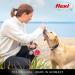 Buy Flexi Dog Leash - Extendable Soft Handle 3/5/8m 20kg Capacity Red Small - International Shipping - Buy Online on SooperMarket.com