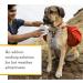 Ruffwear Swamp Cooler Core Evaporative Cooling Add-on | Small Graphite Gray - Buy Online on SooperMarket.com