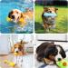 Jotol Dog Toy Set - 20PCs 100% Natural Cotton Interactive Toys for Dental Care | Best Pet Rope Toys for Small & Medium Dogs - Buy Online on SooperMarket.com