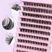 Riya Lash Clusters 120Pcs DIY Eyelash Extensions | Natural Look Wispy Lashes 8-16MM D Curl Individual Reusable Fluffy Extensions - RY-01 - Buy Online on SooperMarket.com