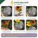 3 Pcs Clear Japanese Floral Frogs - Plastic Ikebana Kenzan Flower Arrangement Holders with Mini Suction Cups - Ideal for Uneven Glass Ceramic Vases - Buy Online on SooperMarket.com