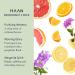 Pack of 3 HAAN Natural Deodorants for Women and Men | Margarita Spirit Morning Glory Purifying Verbena Fragrance with 24 Hour Odor Protection | Vegan Deodorant Balance Your Skin's | 4 Fl. Oz. Each - Buy Online on SooperMarket.com