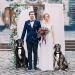 GOYOSWA Dog Tuxedo Suit with Bow Tie for Wedding & Special Occasions | Adjustable Formal Costume for Small, Medium, Large Dogs (Large Neck 15-25) - Buy Online on SooperMarket.com