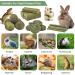 ERKOON 25Pcs Bunny Chew Toys - Natural Timothy Hay Treats Sticks for Rabbit, Chinchilla, Guinea Pig, Hamster, Gerbil, Squirrel - 8.5oz - Buy Online on SooperMarket.com