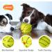 Laroo Durable Natural Rubber Dog Ball | Squeaker Toy for Small & Large Dogs | 9cm Green Dog Football - Buy Online on SooperMarket.com