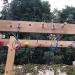 Sunnyglade 40ft Ninja Line Hanging Obstacle Course for Kids | Slackers Ninja Line Kit with Bars, Fists, Rings | Ninja Slackline Accessories - Buy Online on SooperMarket.com