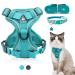 Fineasy cat dishes with a leash outbreak -proof and cat neck adjustable cat leash with dishes dishes Cat Harness Soft software for cats kitten dogs breastware (green s) s