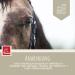 First Aid Set for Horses - Silver Spray & Zinc Ointment for Wound Healing Protection & Disinfection | 250ml & 200ml Options for Pets & Livestock - Buy Online on SooperMarket.com