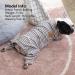 KYEESE Stretchy Dog Pajamas for Small Dogs - Striped 4 Legged Jumpsuit for Hair Shedding Cover - XL - Ivory Brown - Buy Online on SooperMarket.com