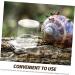 TOGEVAL Pet Water Feeder Ant Watering Station Ant Nest Water Cup Ant Feeding Cup Ant Bottle Feeder Ant Water Feeder Ants Waterer Ant Waterer for Garden Water Feeding Cup for Ant Nest - Buy Online on SooperMarket.com