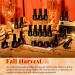 Beetles 20 Pcs Gel Nail Polishes Set with Glossy Matte Top/Base Coat - Maroon Gold Yellow Red Glitter Soak Off Varnish for Manicure and DIY Nail Art - Fall Harvest Collection - Buy Online on SooperMarket.com