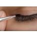 Professional Gel Eyeliner Brush - Premium Quality Flat Makeup Brush for Fine Lines - Thin Synthetic Bristles - Economical Price - Buy Online on SooperMarket.com
