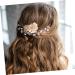ABOOFAN 1 Pair Bridal Hair Accessories Wedding Hair Accessories Fairy Jewelry for Women Hair Comb Wedding Hair Combs for Wedding Hair Combs for Women Decorative Light Luxury Hairpin Bride - Buy Online on SooperMarket.com