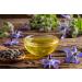 OPO Borage Seed Oil 32 oz - 100% Pure Non-GMO High GLA Moisturizer | Vegan Carrier Oil for Skin Hair Nails & DIY Soaps - Buy Online on SooperMarket.com